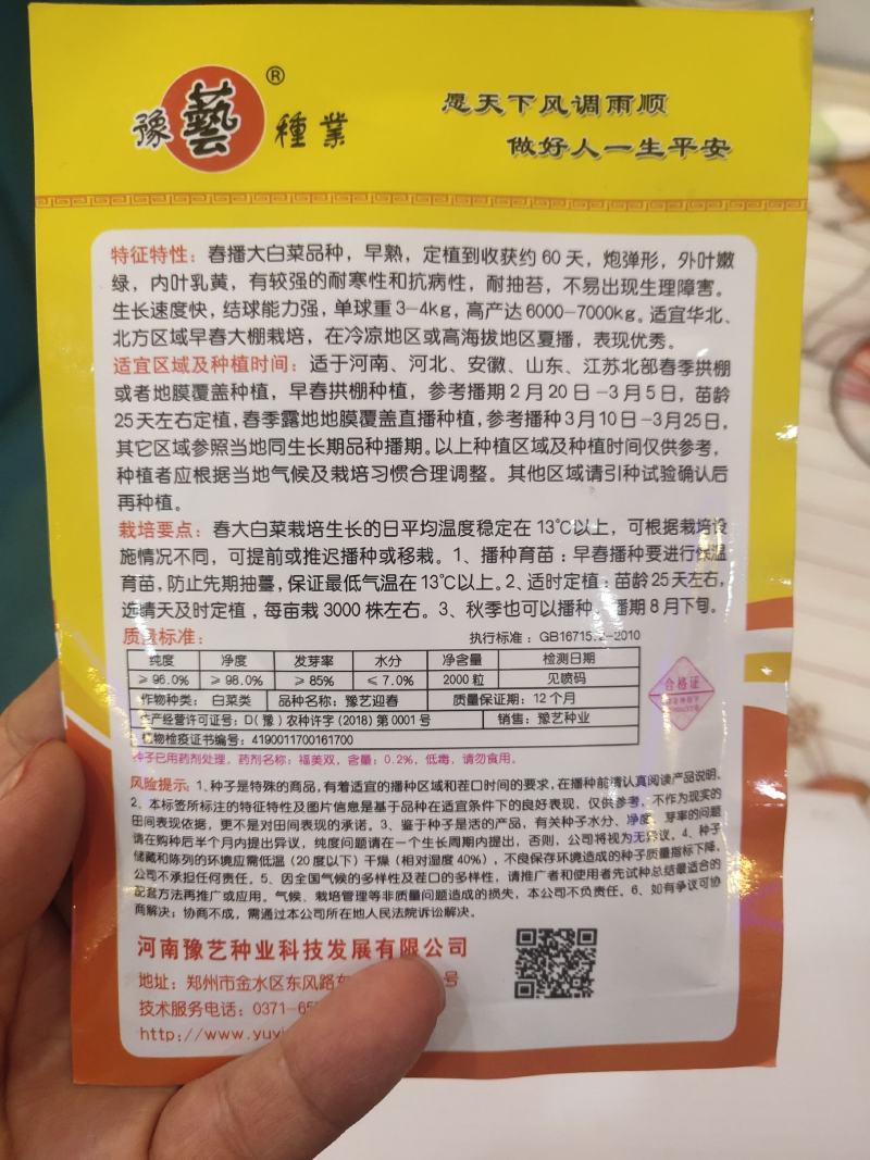 豫艺迎春白菜种子早熟炮弹形内叶乳黄产量7000公斤结球能