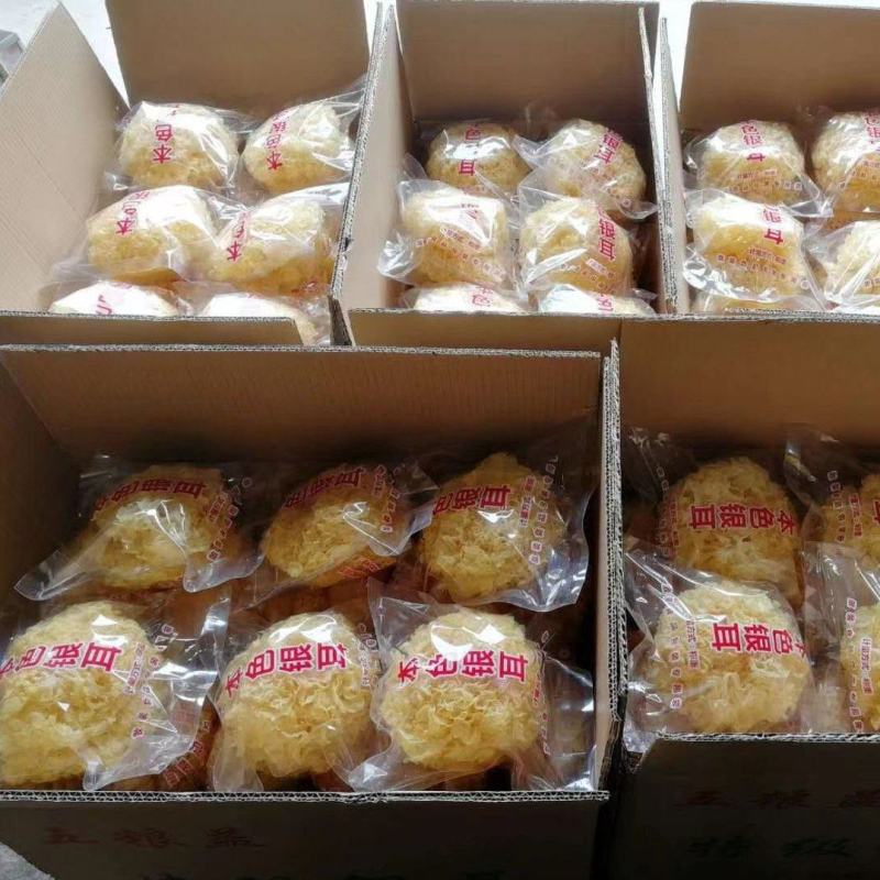 古田银耳产地两朵独立包装银耳批发