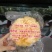 古田银耳产地两朵独立包装银耳批发