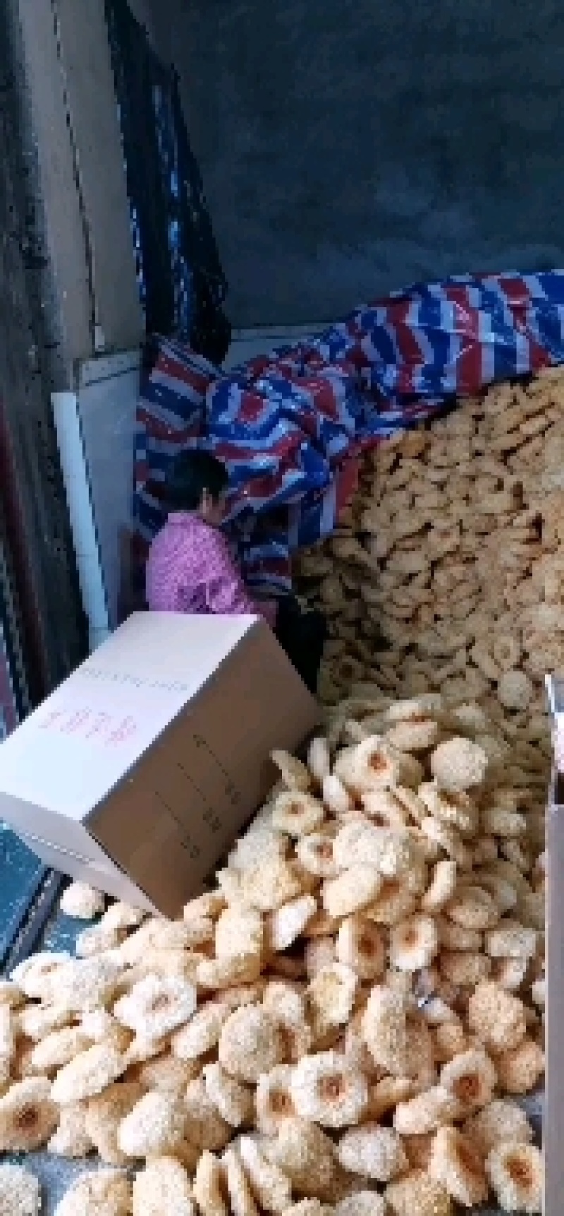 古田银耳产地两朵独立包装银耳批发