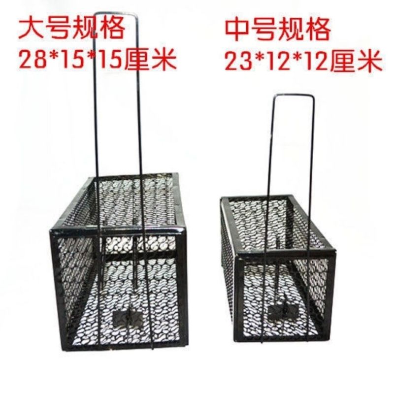 老鼠笼捕鼠器捕鼠神器捕鼠笼家用捕鼠耗子笼粘鼠板贴鼠板捕鼠