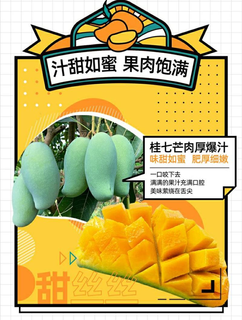 【现货】桂七芒果大青芒果一件代发源头非贵妃金煌芒果供直播