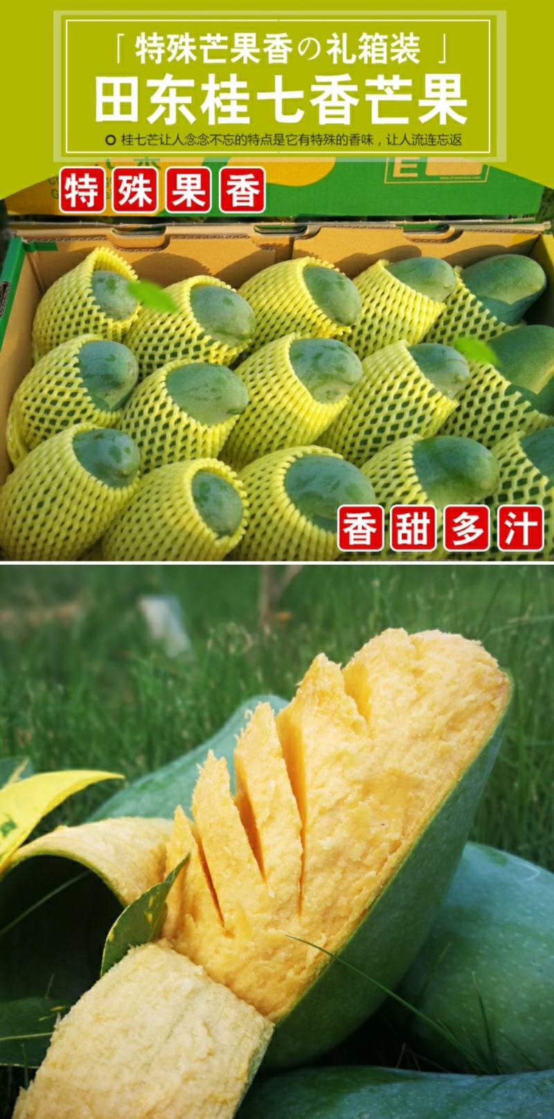 【现货】桂七芒果大青芒果一件代发源头非贵妃金煌芒果供直播