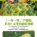 【现货】桂七芒果大青芒果一件代发源头非贵妃金煌芒果供直播