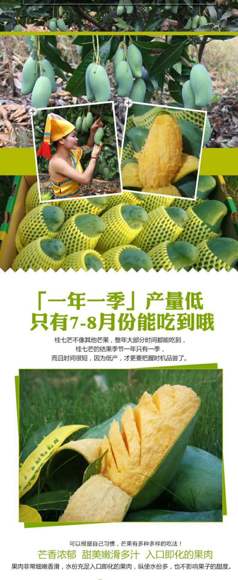 【现货】桂七芒果大青芒果一件代发源头非贵妃金煌芒果供直播