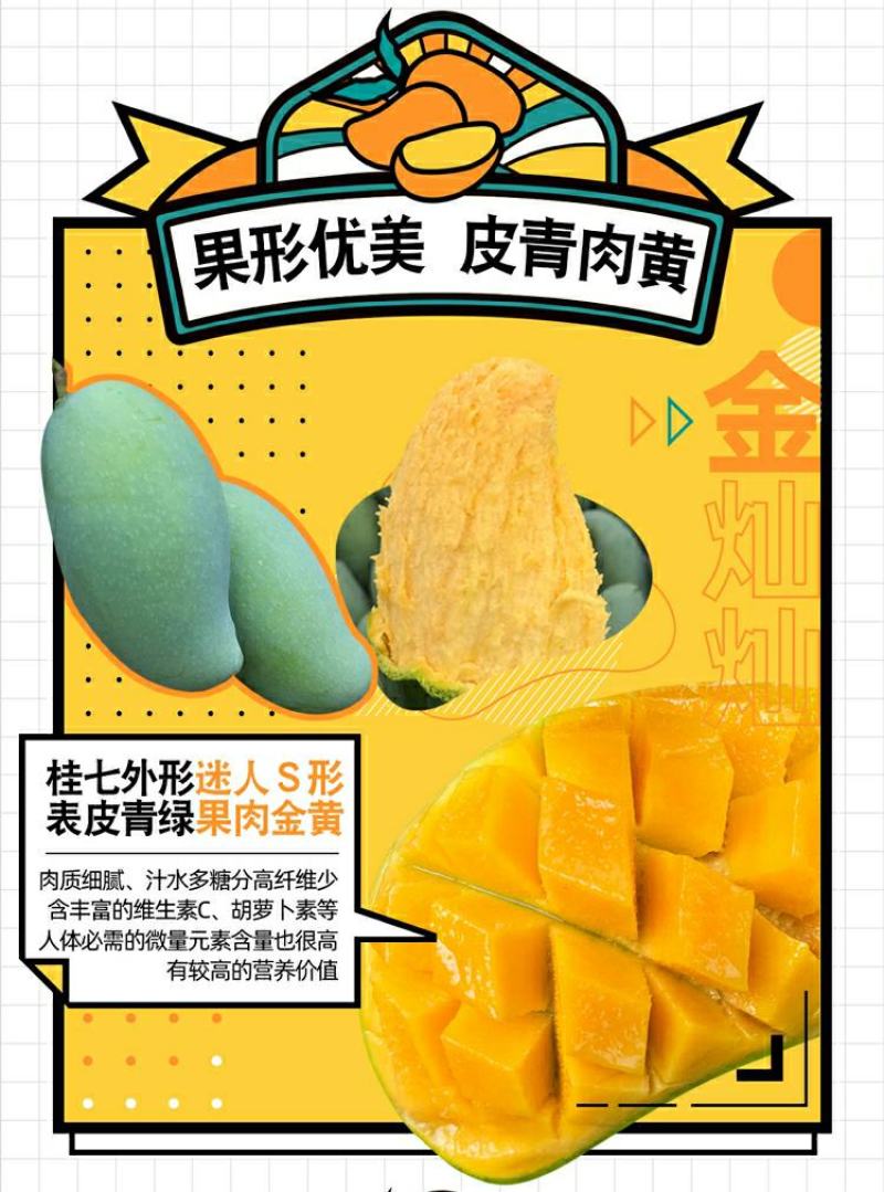 【现货】桂七芒果大青芒果一件代发源头非贵妃金煌芒果供直播