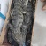 鳄鱼养殖基地一手货源，规格齐全免费技术指导