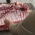 猪肉类黑猪肉山上放养山猪肉香猪肉可大量供货酒楼生鲜农庄