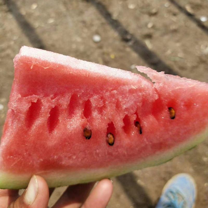 称心如意西瓜