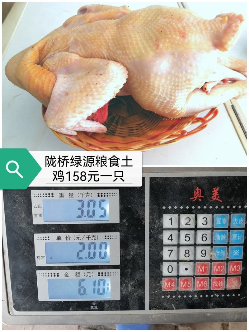 禽畜牧蛋肉