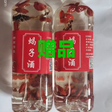 蝎子套餐活动来了，特价三天，再送蝎子酒半斤，一盒全国包邮