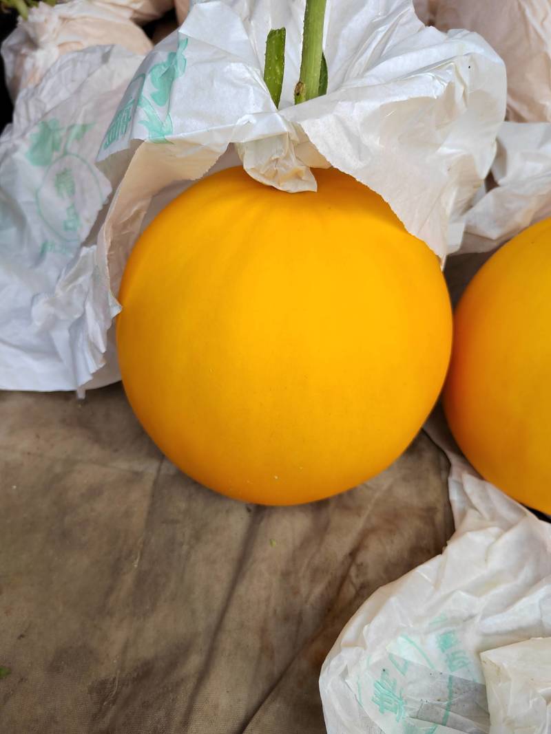 久红瑞