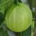 灯笼果苗，加拿大1号灯笼果苗，当年栽苗，当年挂果，产量高