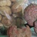 大家好、泌阳花菇甲天下、送礼佳品、形好肉厚、味香肉细嫩、