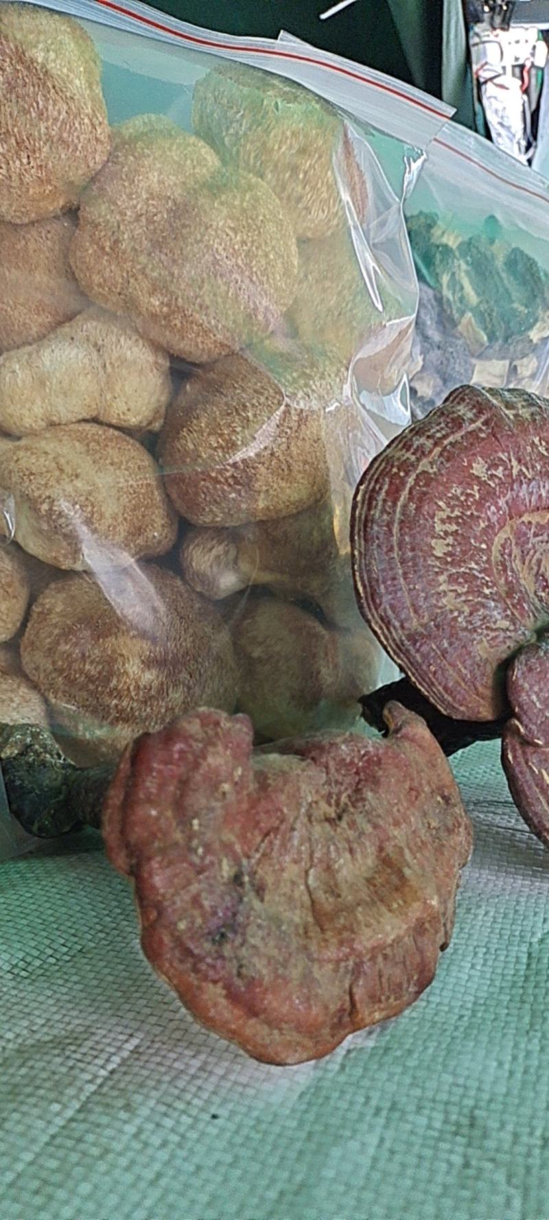 大家好、泌阳花菇甲天下、送礼佳品、形好肉厚、味香肉细嫩、