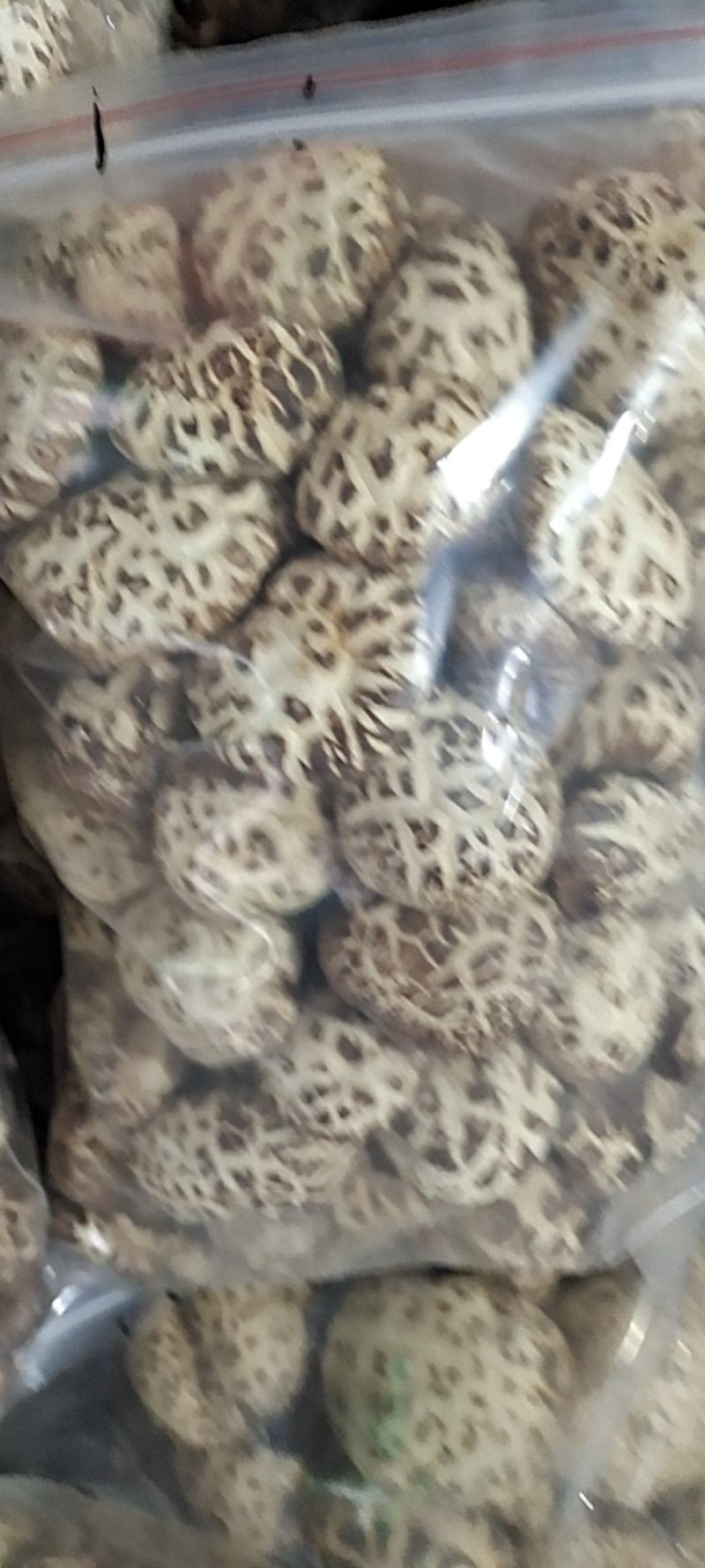大家好、泌阳花菇甲天下、送礼佳品、形好肉厚、味香肉细嫩、