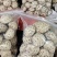 大家好、泌阳花菇甲天下、送礼佳品、形好肉厚、味香肉细嫩、