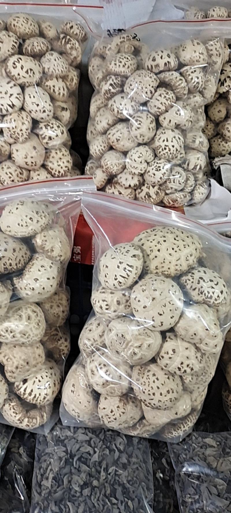 大家好、泌阳花菇甲天下、送礼佳品、形好肉厚、味香肉细嫩、