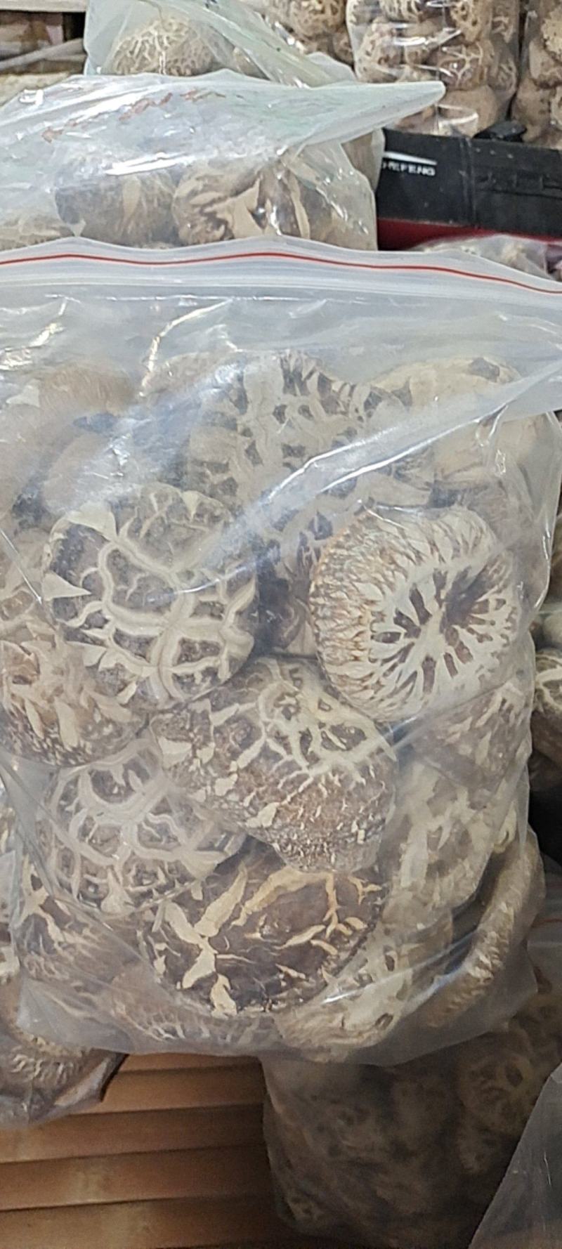 大家好、泌阳花菇甲天下、送礼佳品、形好肉厚、味香肉细嫩、