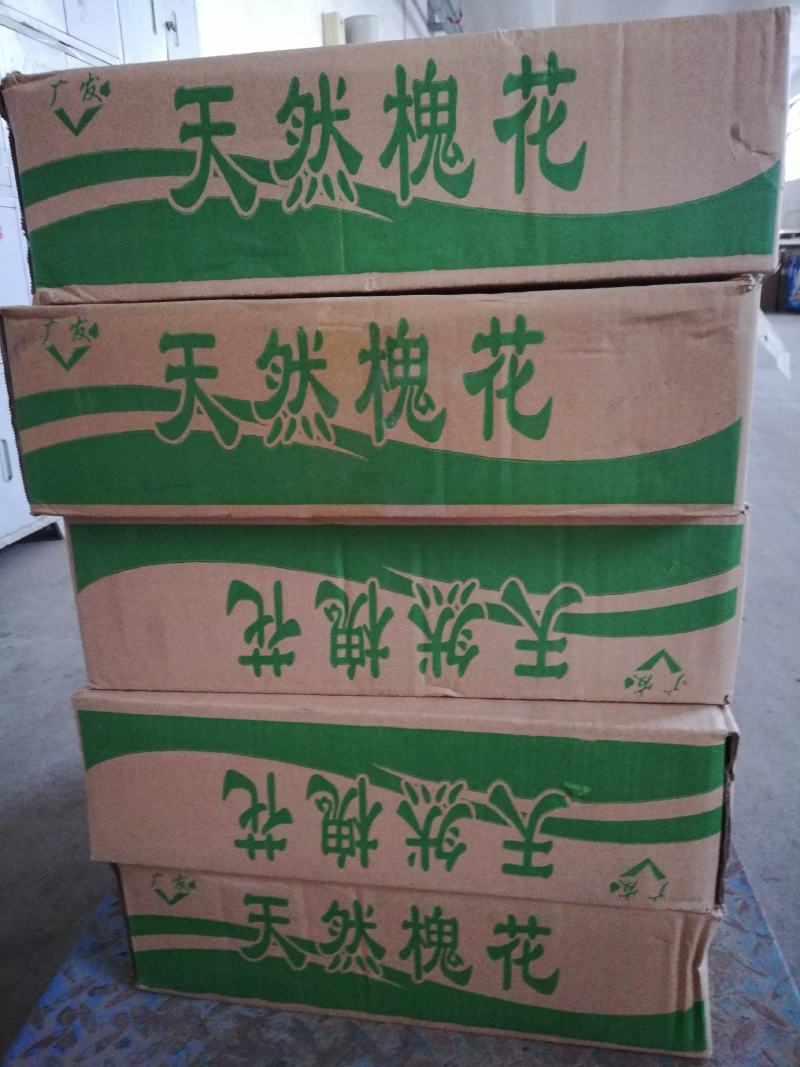 鲜冻槐花洋槐花新货冷冻槐花大量现货