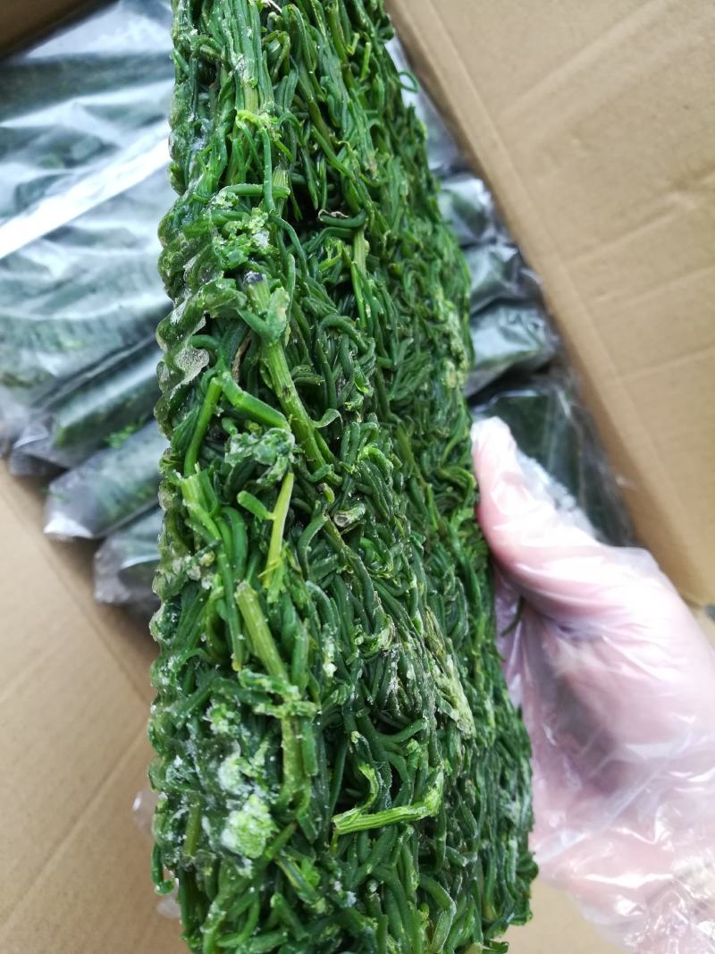 黄须菜碱蓬菜海蒿菜鲜菜速冻的凉菜做馅专用酒店宴会