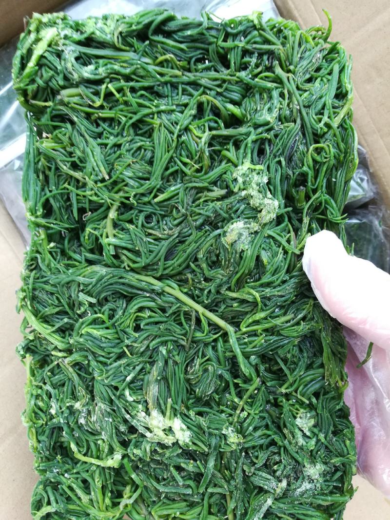 黄须菜碱蓬菜海蒿菜鲜菜速冻的凉菜做馅专用酒店宴会
