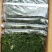 黄须菜碱蓬菜海蒿菜鲜菜速冻的凉菜做馅专用酒店宴会
