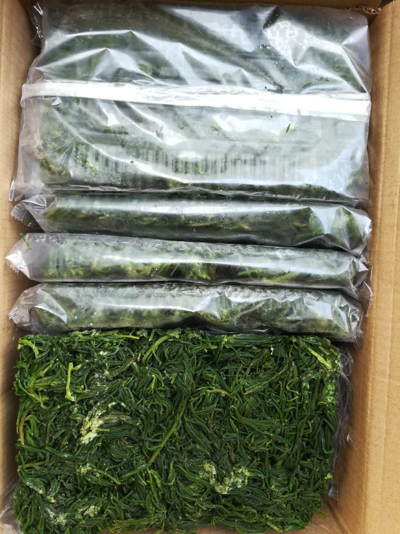 黄须菜碱蓬菜海蒿菜鲜菜速冻的凉菜做馅专用酒店宴会