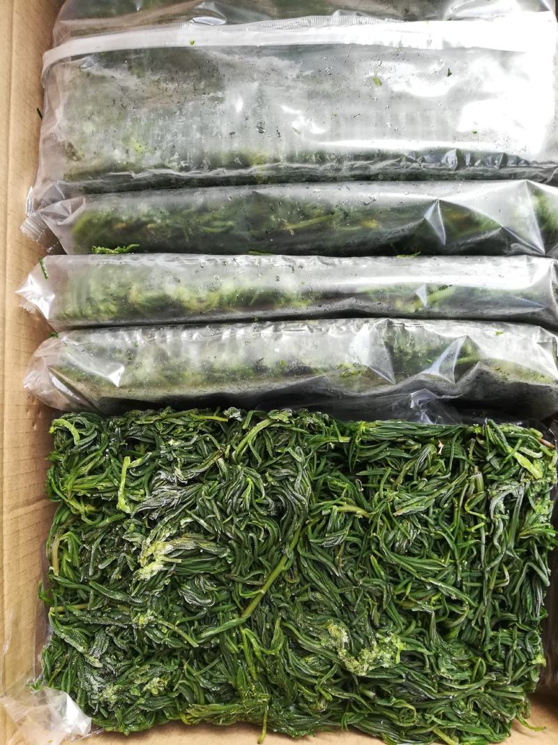 黄须菜碱蓬菜海蒿菜鲜菜速冻的凉菜做馅专用酒店宴会