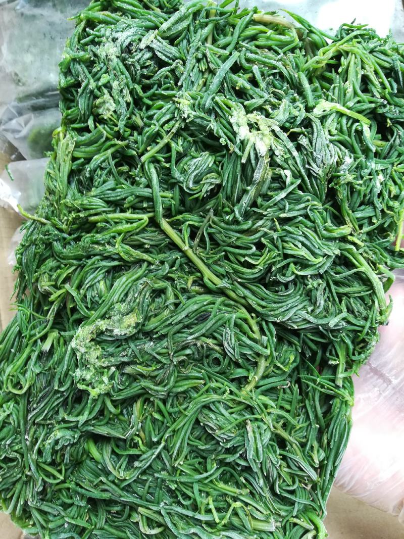 黄须菜碱蓬菜海蒿菜鲜菜速冻的凉菜做馅专用酒店宴会