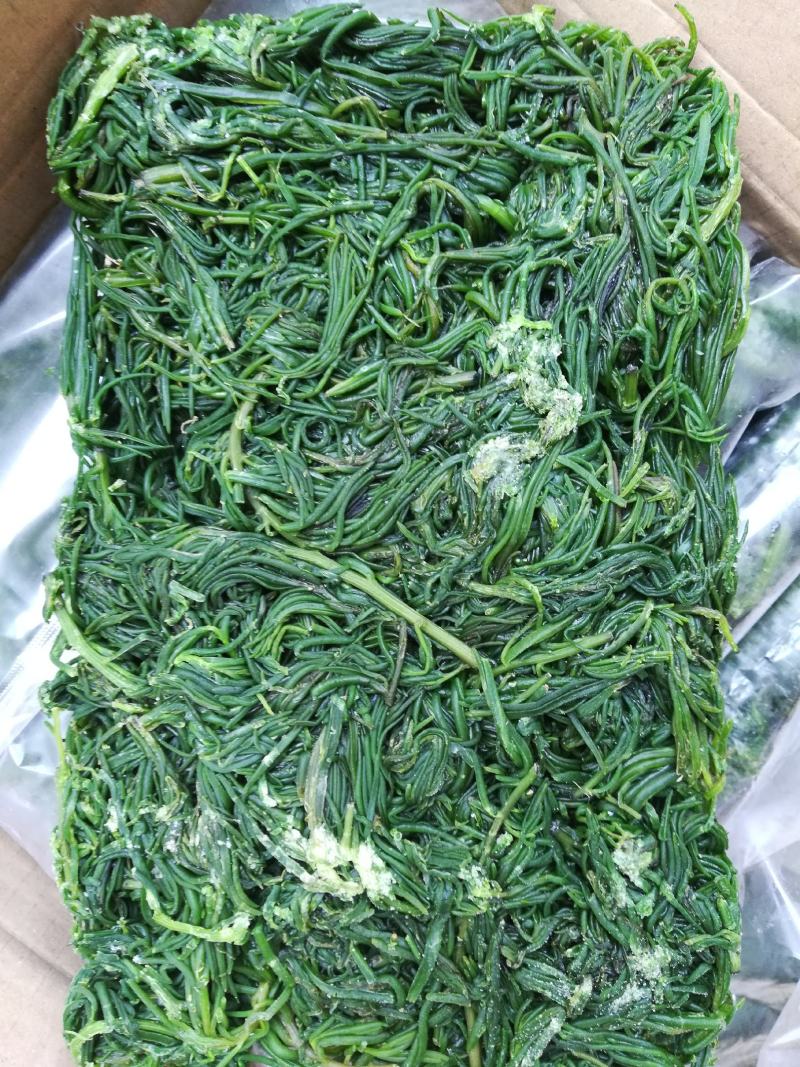 黄须菜碱蓬菜海蒿菜鲜菜速冻的凉菜做馅专用酒店宴会