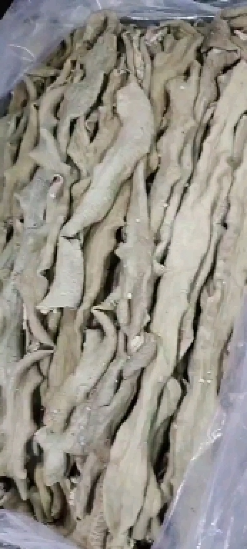 牛圆肠，牛片肠，大肠，红肠，散带。干净，质量好。