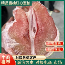 红肉蜜柚红心柚平和蜜柚产地直销大量上市代发全国