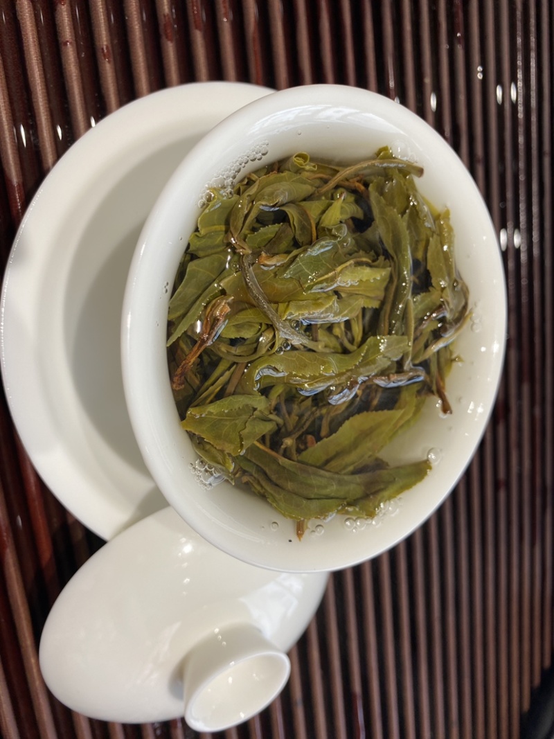 忙肺古树茶