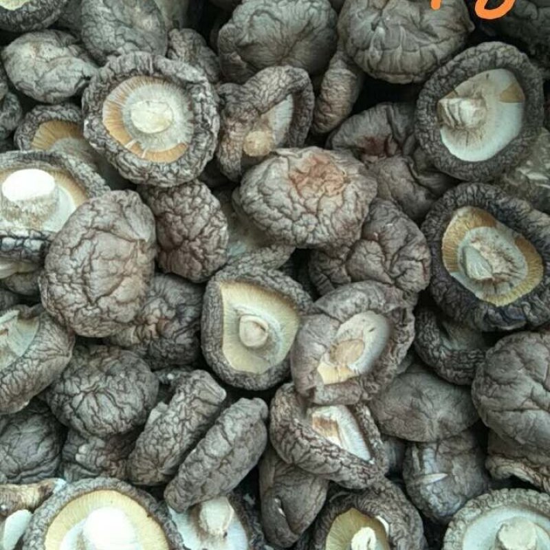 产区直销各种规格干香菇，形好肉厚，颜色漂亮，香味浓，