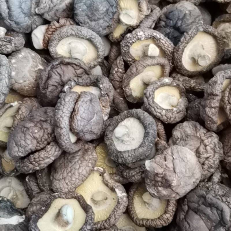 产区直销各种规格干香菇，形好肉厚，颜色漂亮，香味浓，