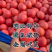 邯郸硬粉西红柿🍅产地直供各大批发市场及商超全国代发