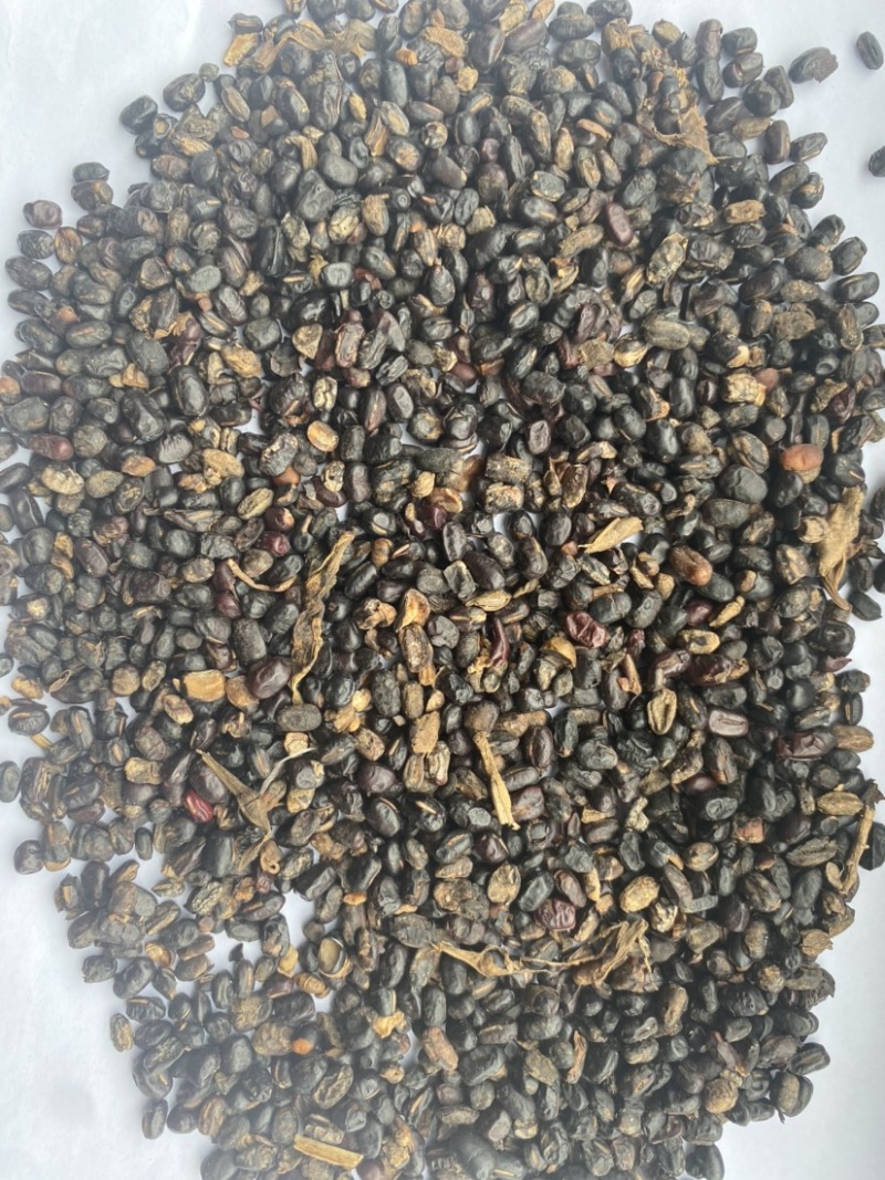 蒸熟杂豆发酵肥料生物肥料大豆肥料降低