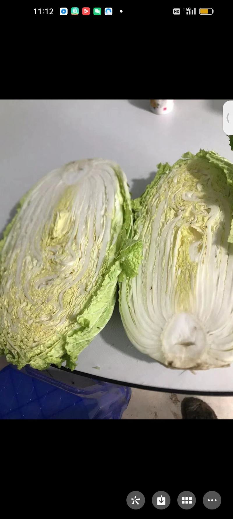 白菜