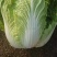 白菜