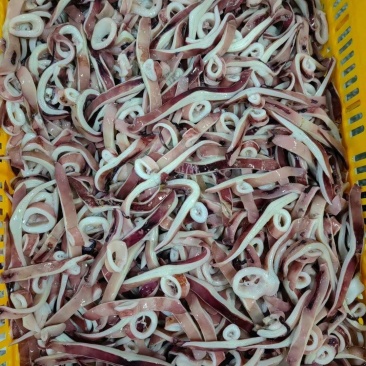鱿鱼条，小飞燕