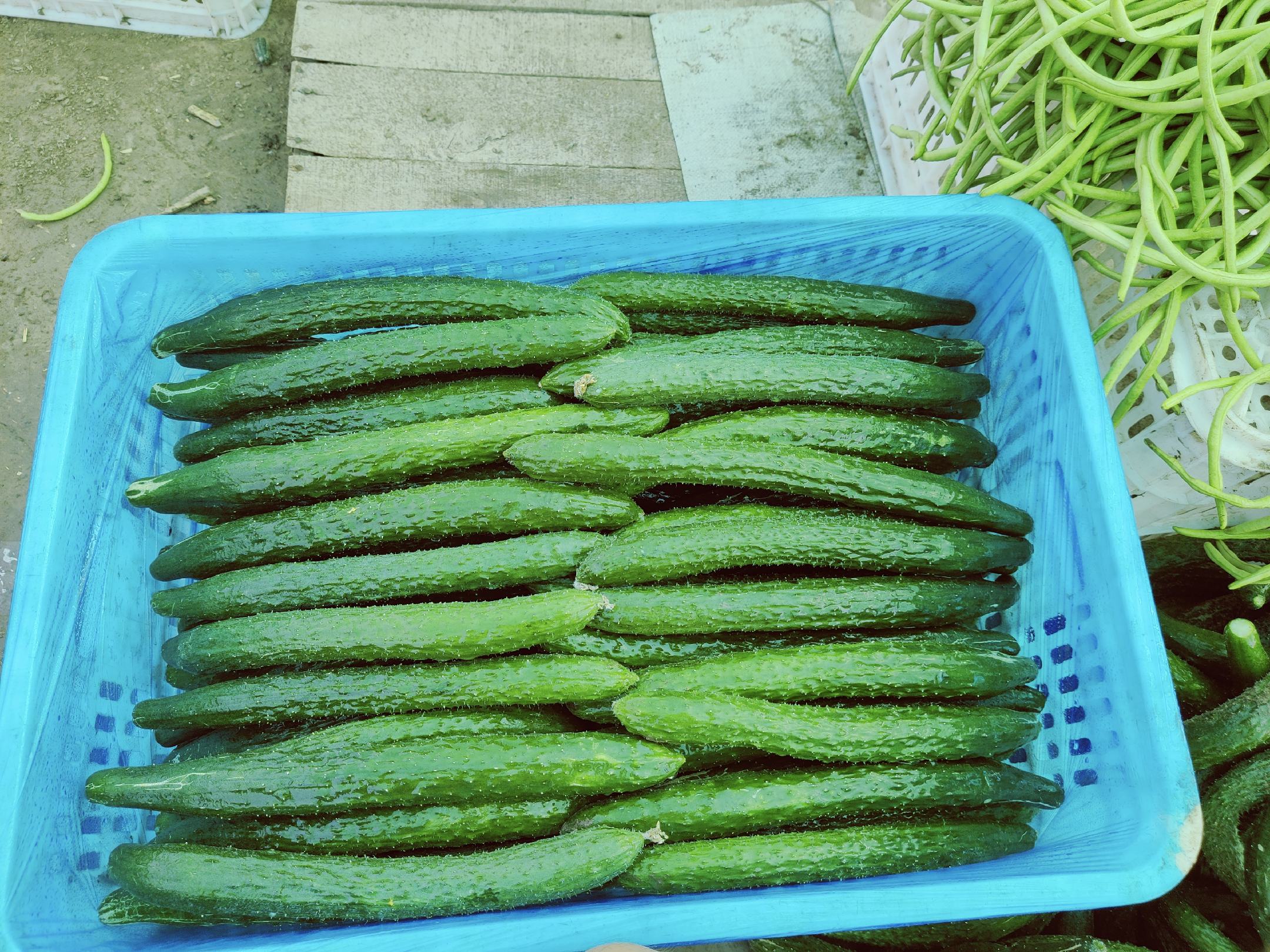豆角原材料
