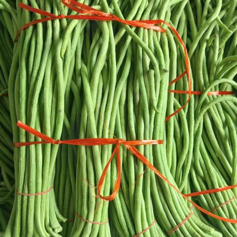 河北精品青条豆角，保质保量，色泽好无虫蛀，诚信经营！