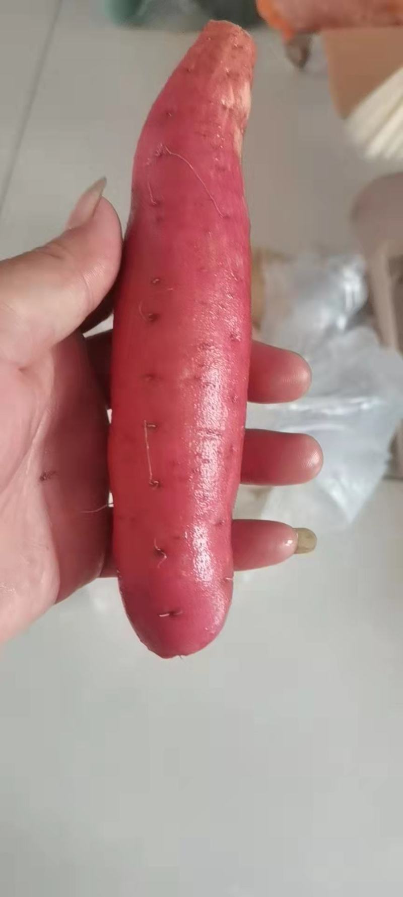 山东德州优质蜜薯西瓜红大量上市货源充足欢迎咨询采购
