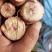 山东德州优质蜜薯西瓜红大量上市货源充足欢迎咨询采购