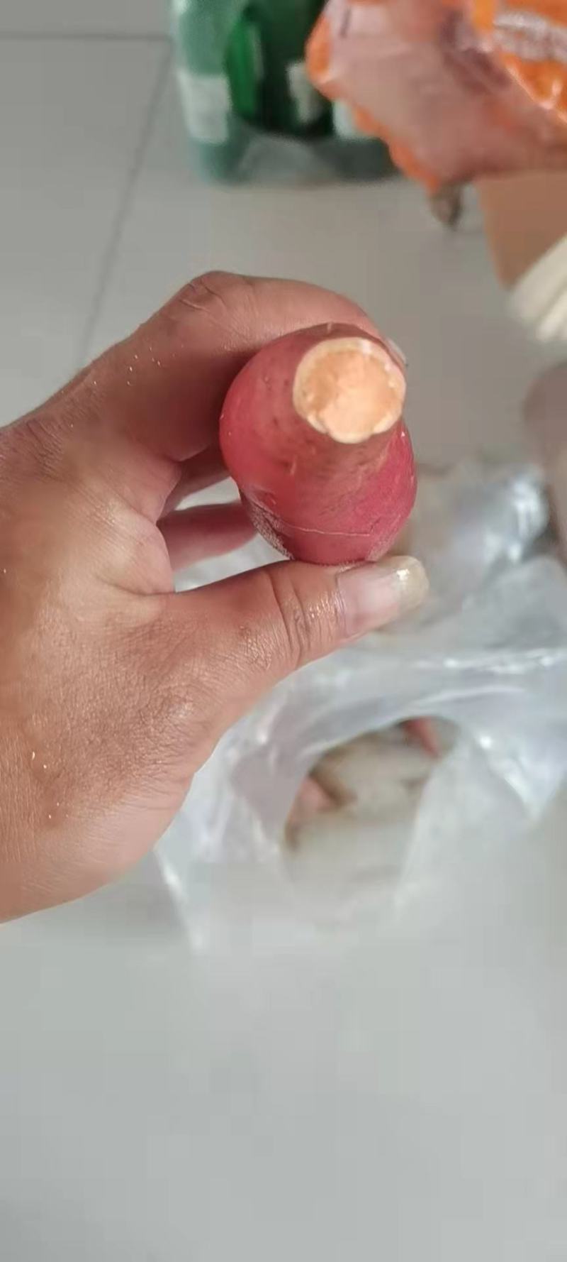 山东德州优质蜜薯西瓜红大量上市货源充足欢迎咨询采购