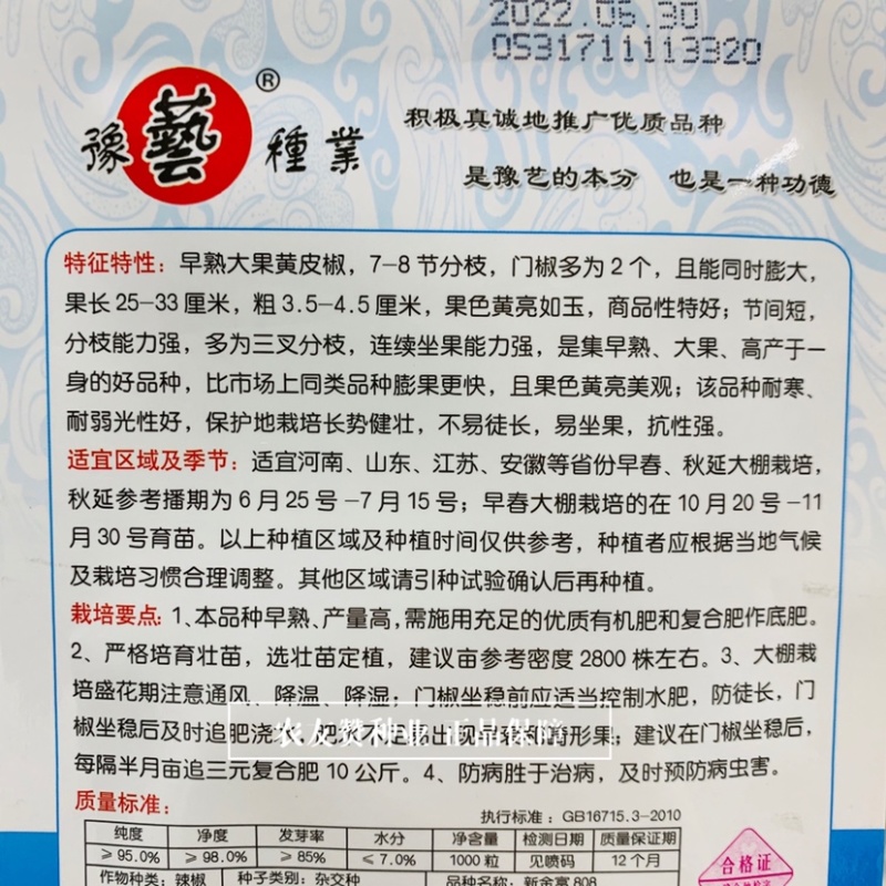 豫艺新金富808黄皮椒种子早熟大果黄亮如玉大果耐寒