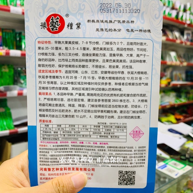 豫艺新金富808黄皮椒种子早熟大果黄亮如玉大果耐寒