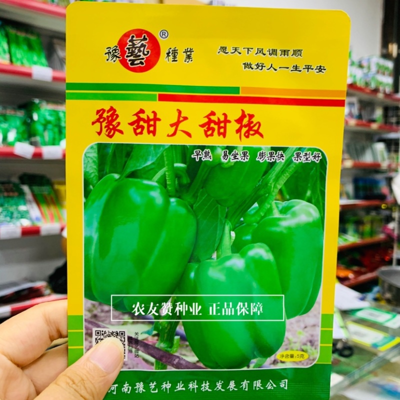 豫艺大甜椒种子早熟近方形耐低温果肉厚，果色亮绿高产