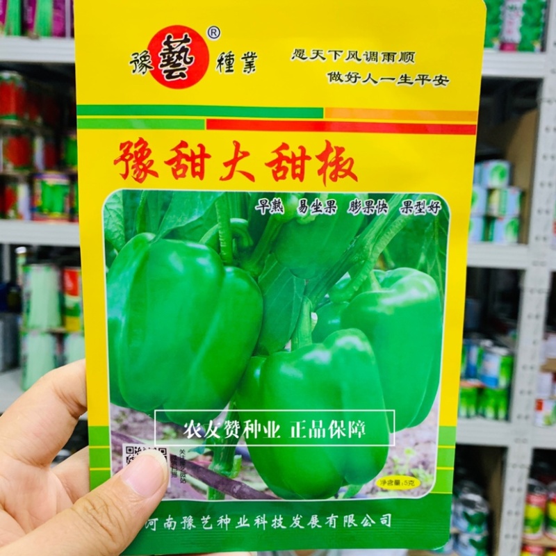 豫艺大甜椒种子早熟近方形耐低温果肉厚，果色亮绿高产